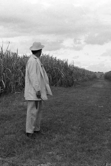 Ricardo Ariel Toribio interpreta a  en Un Gavillero en la Sierra
