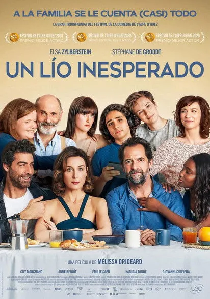 Póster de Un lío inesperado