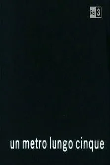 Póster de la película Un metro lungo cinque