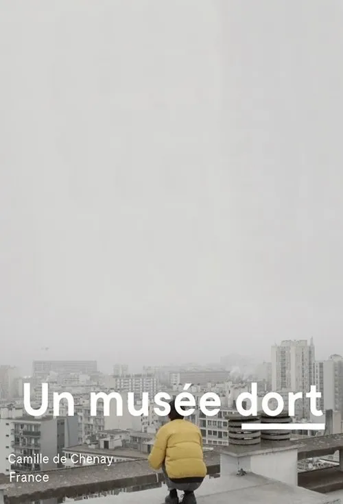 Póster de Un musée dort