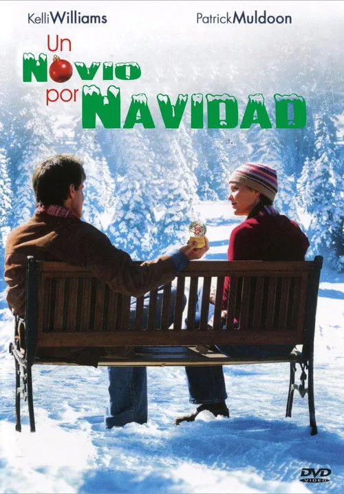 Póster de Un novio por Navidad