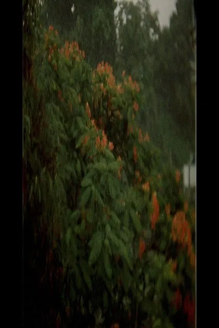 Matthew Rankin interpreta a  en Une Forteresse