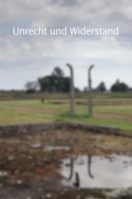 Raphaël Toledano interpreta a Self en Unrecht und Widerstand