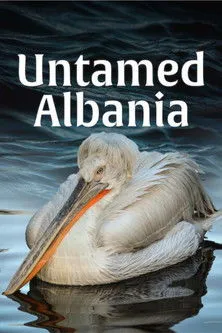 Andrew Solomon interpreta a Narrator (English) en Untamed Albania