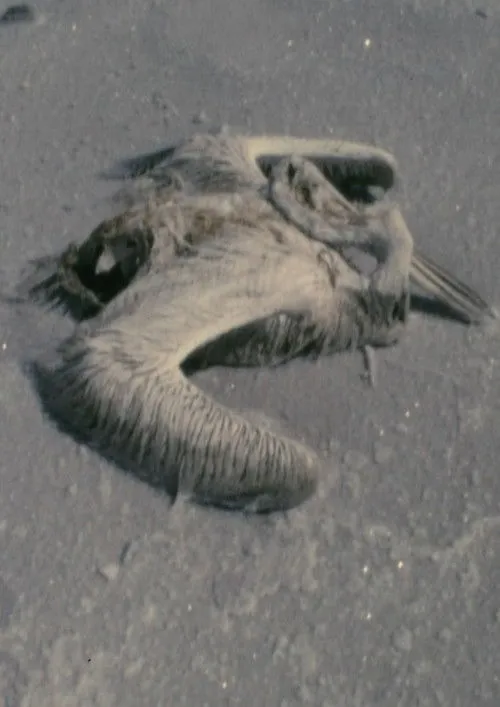 Robert Smithson interpreta a Self en Utah Sequences