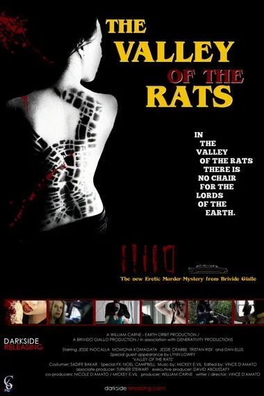 Póster de Valley of the Rats