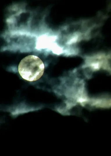 Kalil Haddad interpreta a en Vampires Drink Blood... I Drink Sorrow