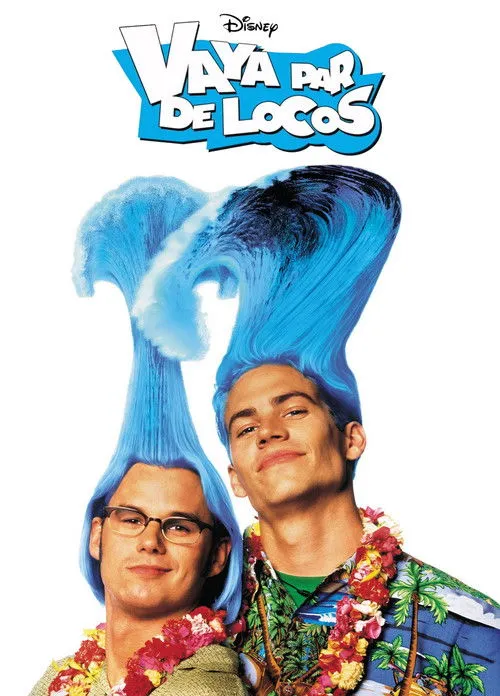 Póster de Vaya par de locos