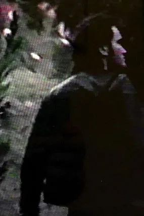 Quentin Tarantino interpreta a Quentin en Vegetables