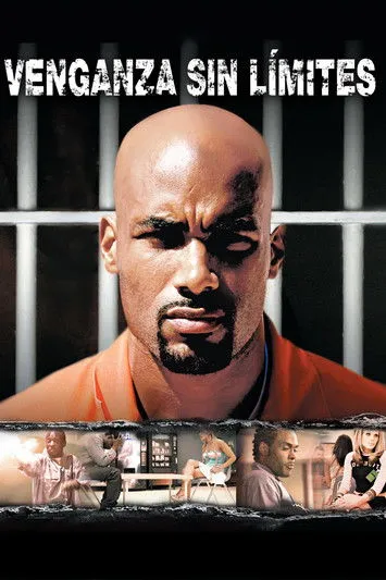Póster de Venganza sin límites