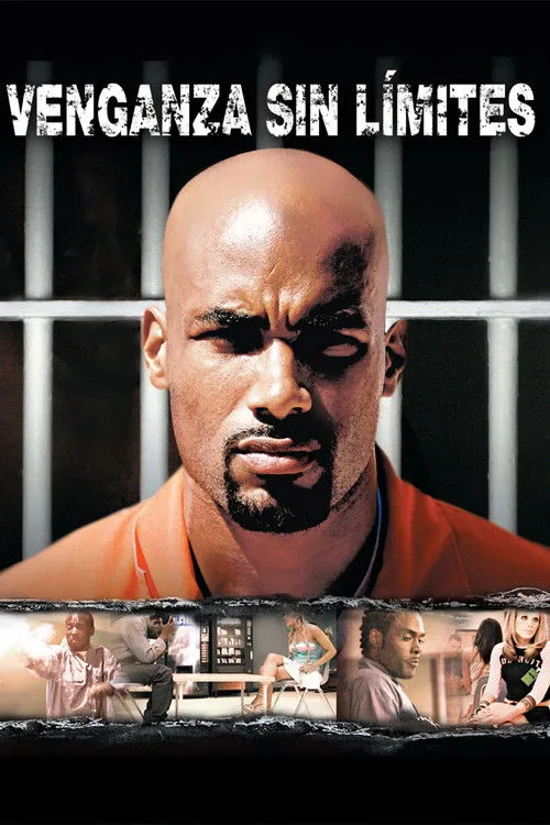 Póster de Venganza sin límites