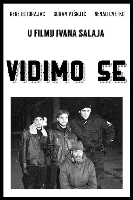Póster de Vidimo se