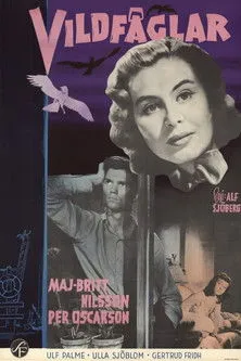 Tommy Nilsson interpreta a Stickan en Vildfåglar