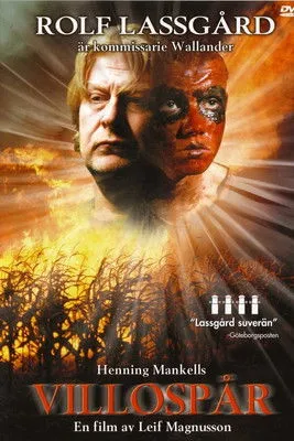 Póster de Villospår