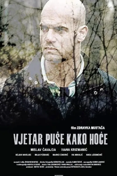 Póster de Vjetar puše kako hoće