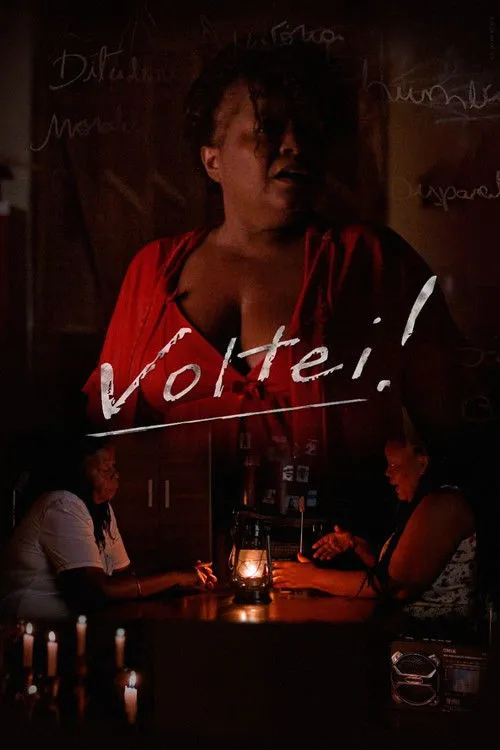 Póster de Voltei!