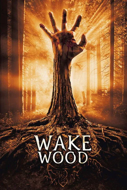 Póster de Wake Wood