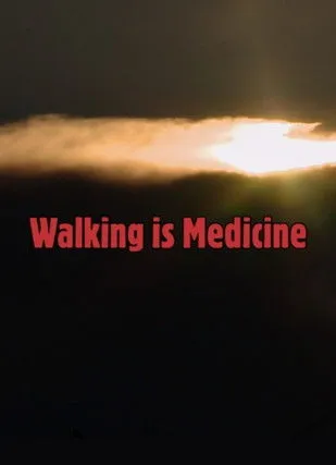 Portada de Walking is Medicine