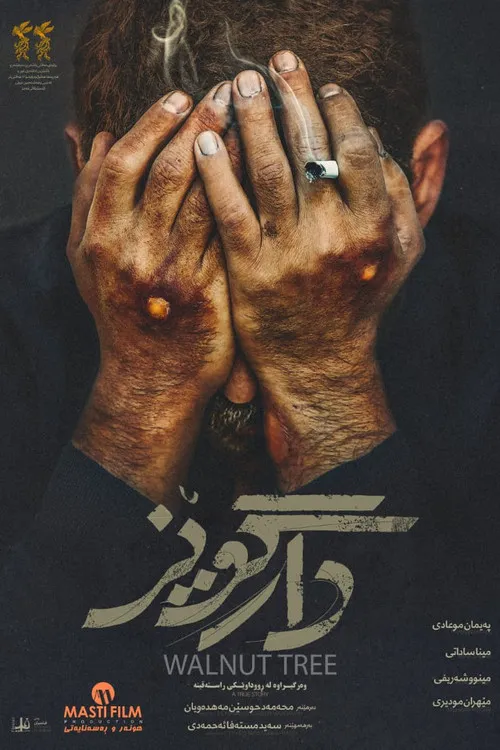 Póster de درخت گردو