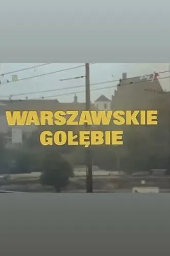 Krystyna Królówna interpreta a en Warszawskie gołębie