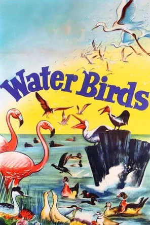 Póster de la película Water Birds