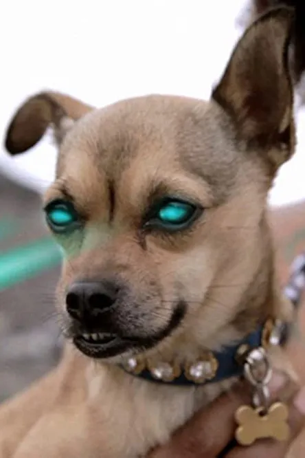 Kevin Clarke interpreta a Child Reader en We Only Sleep on Xanny Bars and Then We Don't Dream