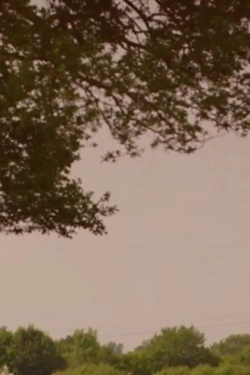 Bill Turnbull interpreta a Himself - Presenter en What's Killing Our Bees?