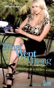 Póster de What Went Wrong
