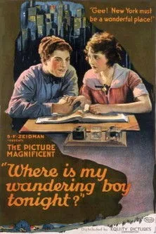 Póster de la película Where's my Wandering Boy Tonight?