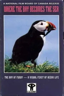 Anna Cameron interpreta a Narrator en Where the Bay Becomes the Sea