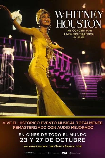 Póster de la película Whitney Houston Live：Concert For A New South Africa