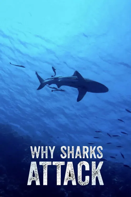 Craig Sechler interpreta a Narrator en Why Sharks Attack