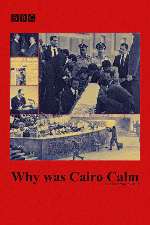 Póster de la película Why was Cairo Calm