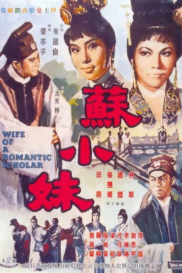 Póster de la película Wife of a Romantic Scholar