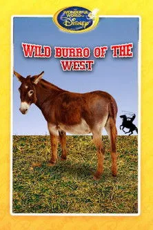 Póster de la película Wild Burro of the West