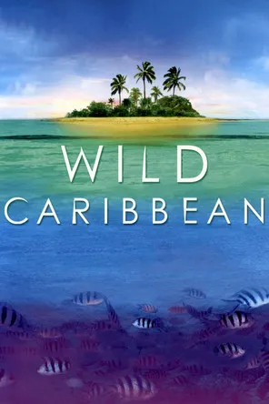 Steve Toussaint interpreta a Himself - Narrator en Wild Caribbean