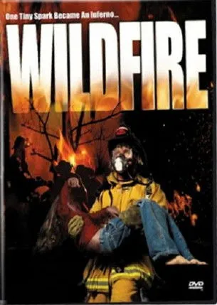Póster de Wild Fire