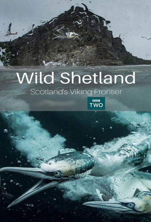 Póster de la película Wild Shetland: Scotland's Viking Frontier