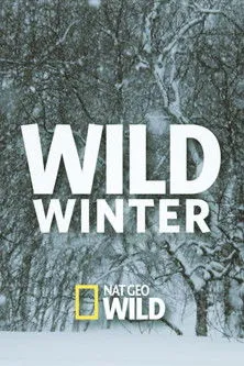 Portada de Wild Winter