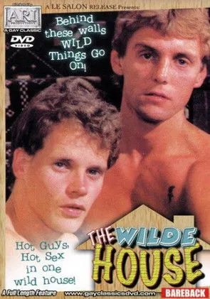 Póster de la película Wilde House