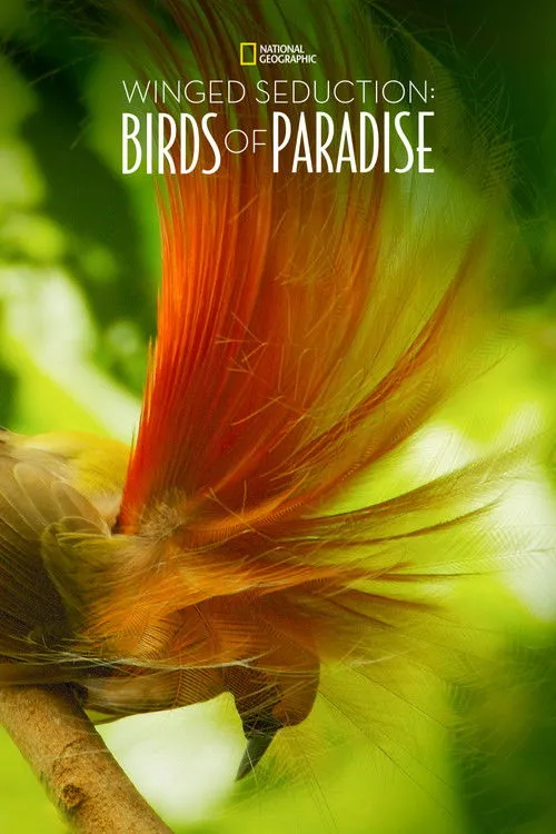 Póster de la película Winged Seduction: Birds of Paradise