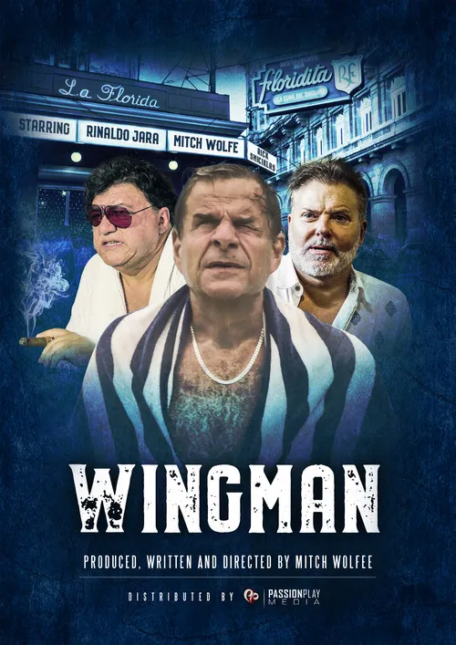 Póster de WingMan