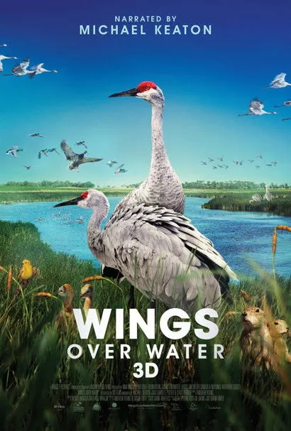 Portada de Wings Over Water