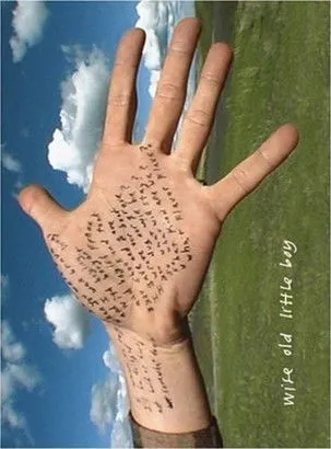 Phil Elverum interpreta a The Microphones en Wise Old Little Boy