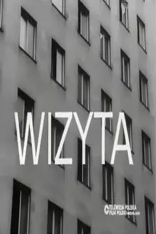 Póster de la película Wizyta