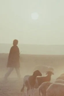 James Rado interpreta a Passing by en Woman is Sweeter