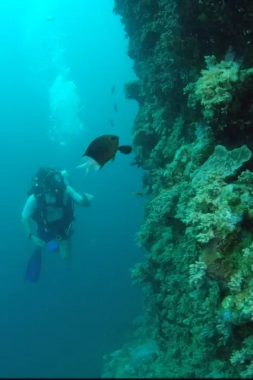 Richard Fitzpatrick interpreta a en Wonders of the Great Barrier Reef with Iolo Williams