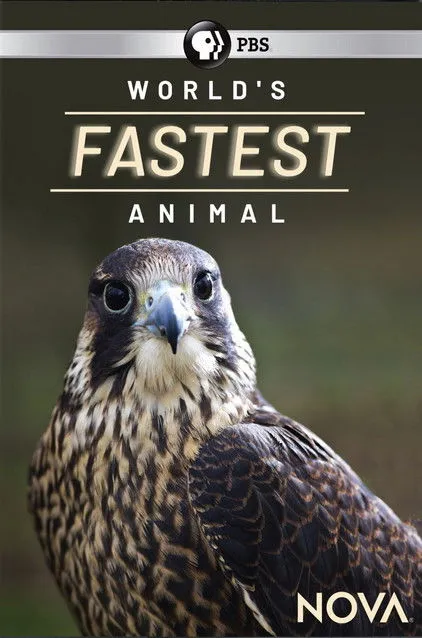 Eric Meyers interpreta a Narrator en World's Fastest Animal