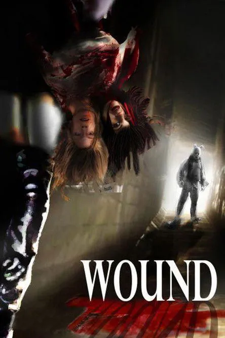 Póster de Wound