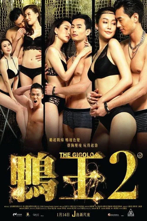 Póster de la película El Gigoló 2